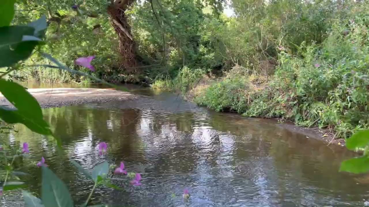 Just Alcester - Number 43 - Still Waters Run Deep