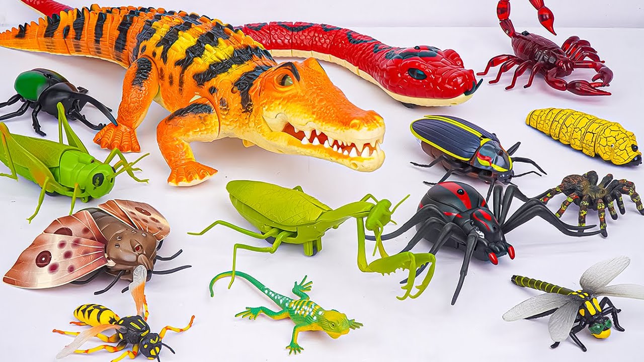 [🐰toy asmr🐰] Remote Controlled Huge Crocodile & Snake & Robo Insects Collection ASMR 🐊 Review Toys