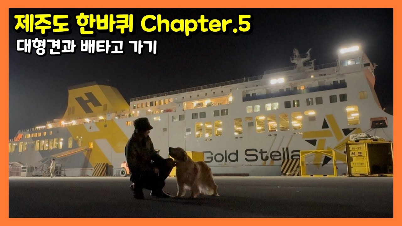 제주도 한바퀴 캠핑일주 | 제주도로 대형견과 함께 배타고 가는 방법 | 반려견 동반 제주도 여행 | 제주도 자전거 여행 | 대형견 배 | 골드스텔라 | 골든리트리버 | 제주도 캠핑