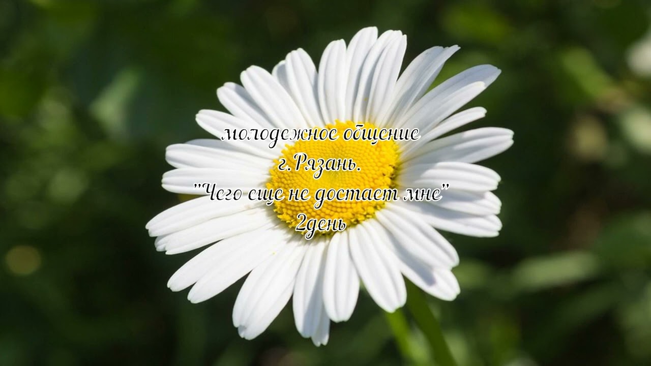 Молодежное общение 