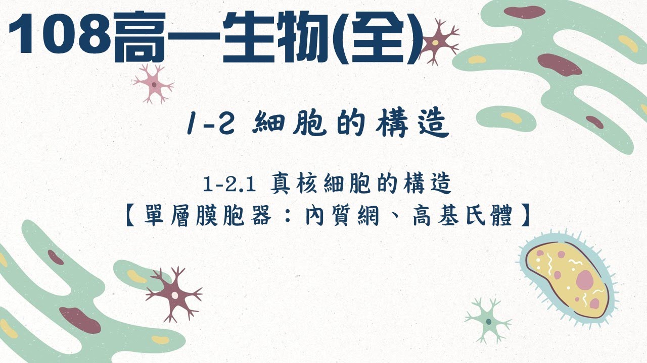 108高一生物(全)_1-2.1真核細胞的構造【單層膜胞器：內質網、高基氏體】