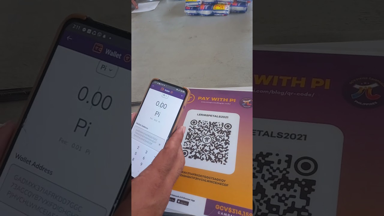 GCV PI NETWORK TRANSACTION OF PI PAYMENT