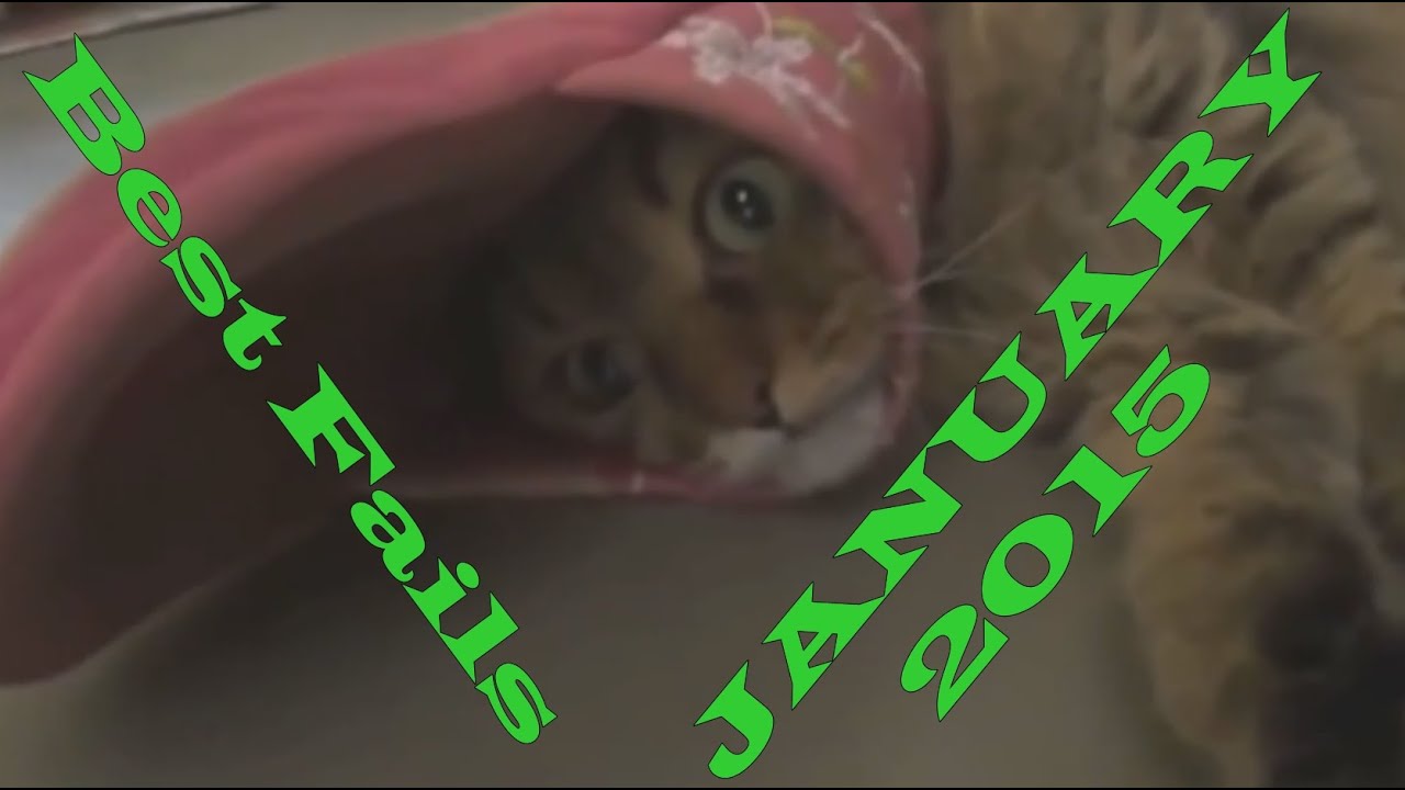 Best Fails JANUARY 2015 - Fail Compilation