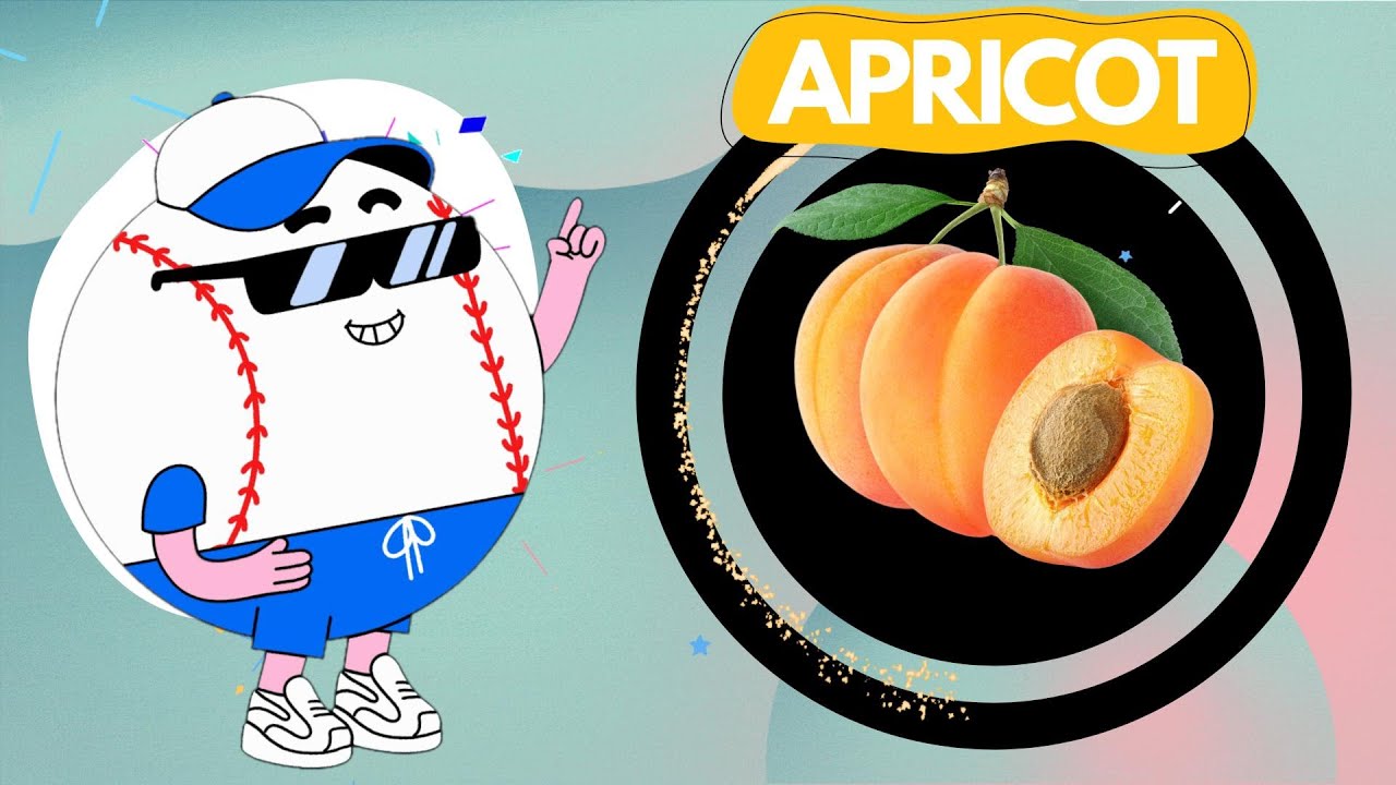 The Apricot 🍑 ❤💕Fruit | For Kids Learning | KSQUARRE | CUTE CARTOON