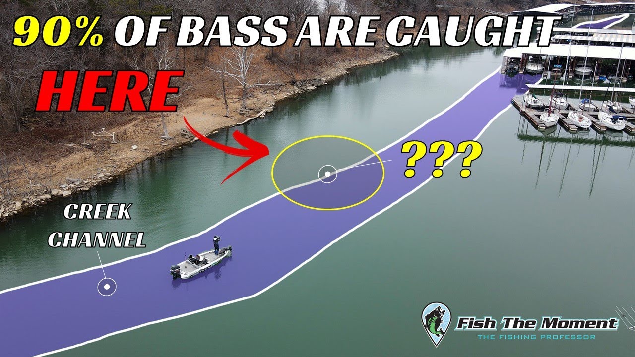 90% of Bass Live In THIS 10% of Your Lake | #Catch15