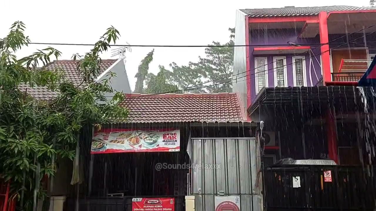 1 Hour Natural Rain Sounds for Sleeping no Thunder