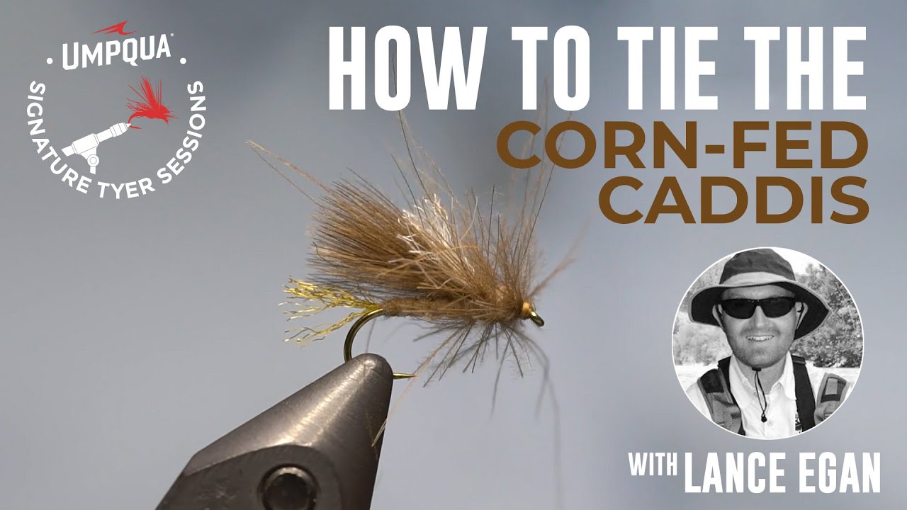 How to tie the Corn-fed Caddis with Umpqua Signature tyer Lance Egan