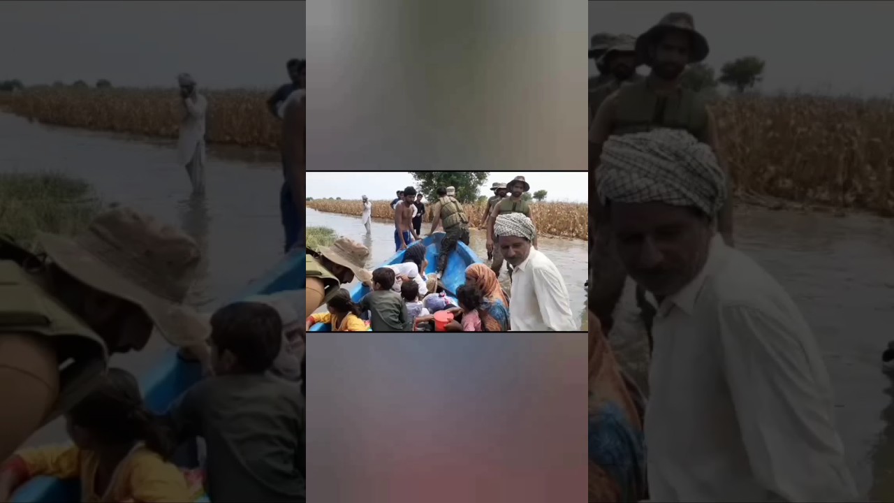 #Flood #Relief #Rescue #Operation by #PakArmy in #Punjab #floodinpakistan #ISPR #armystatus #shorts