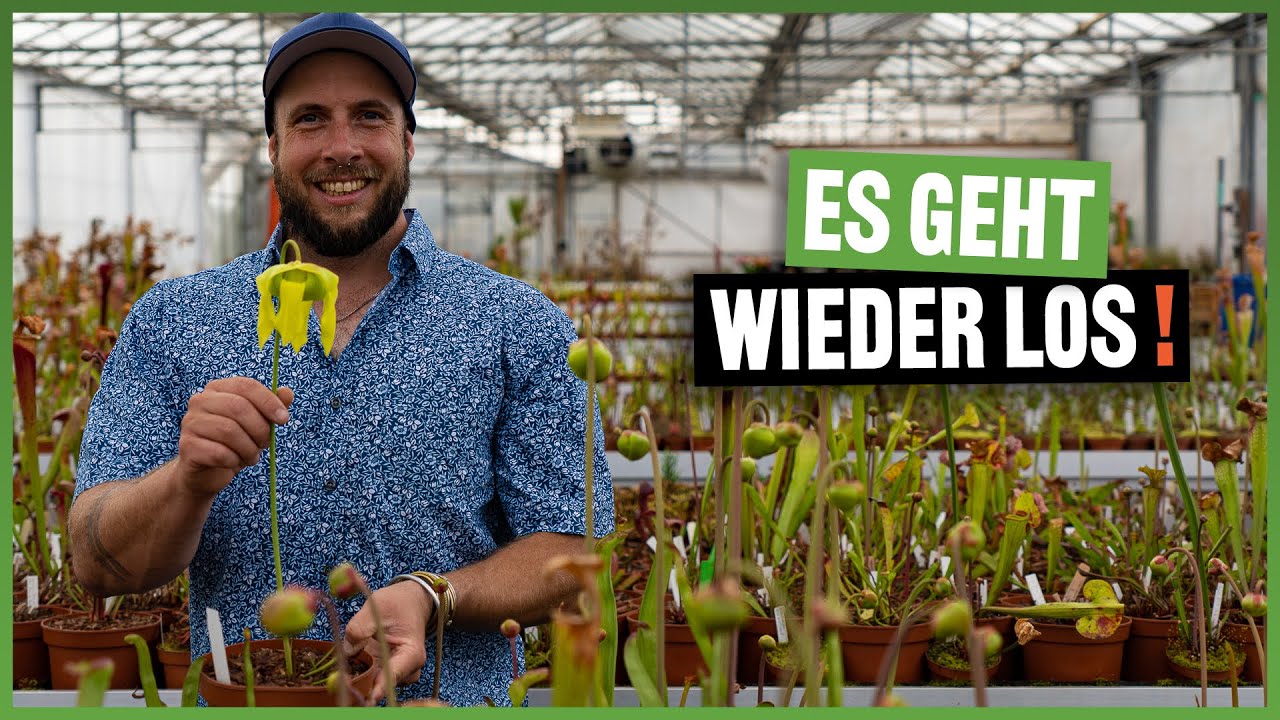 #206 Welcome Back - Auf geht&acute;s in die neue Karnivoren Saison 2023