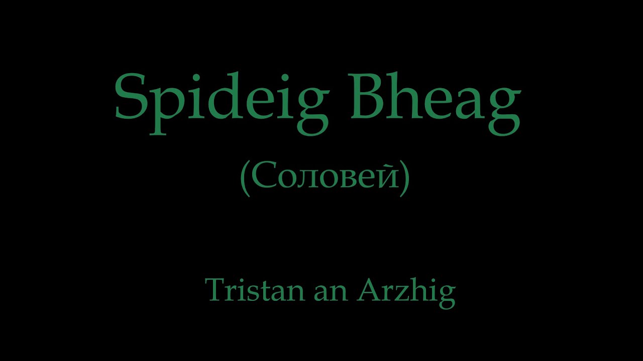 Go_A - Solovey (Соловей) cover in Scottish Gaelic 