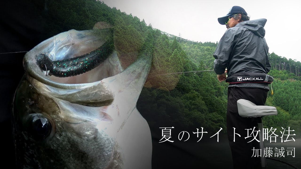 【バス釣り】夏のサイト攻略法。“I字