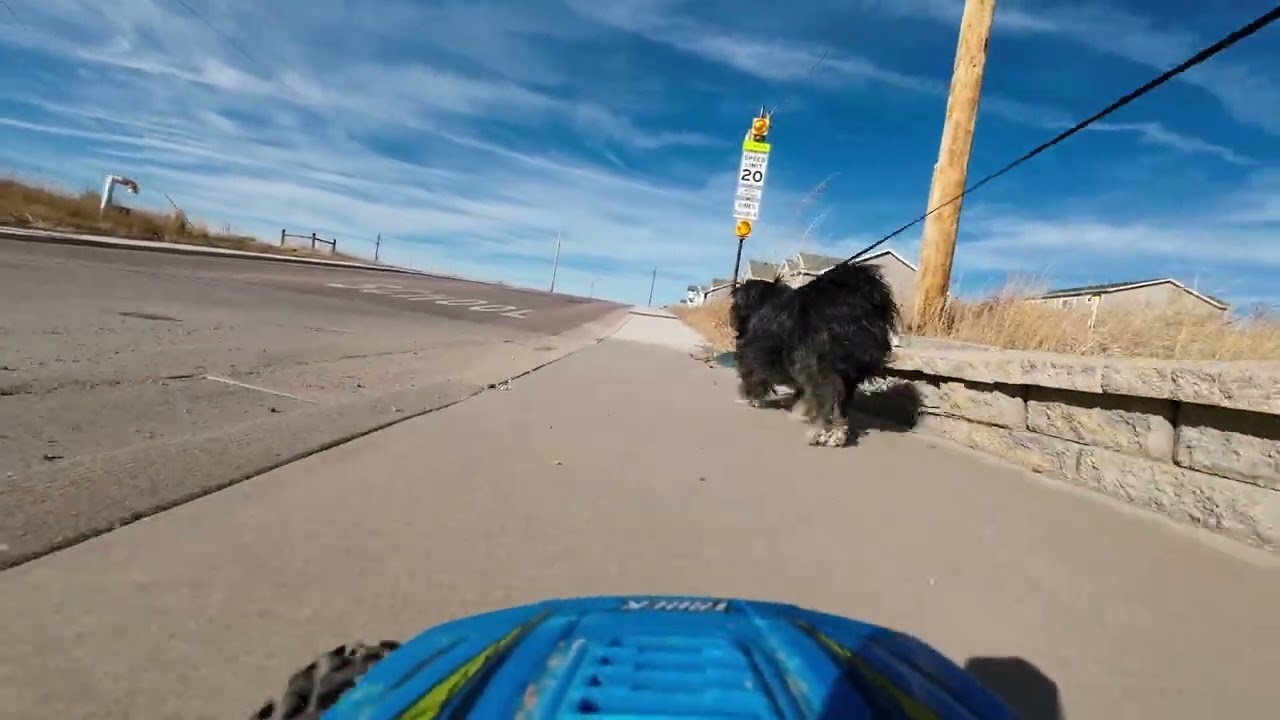 Truck RC Car POV #20