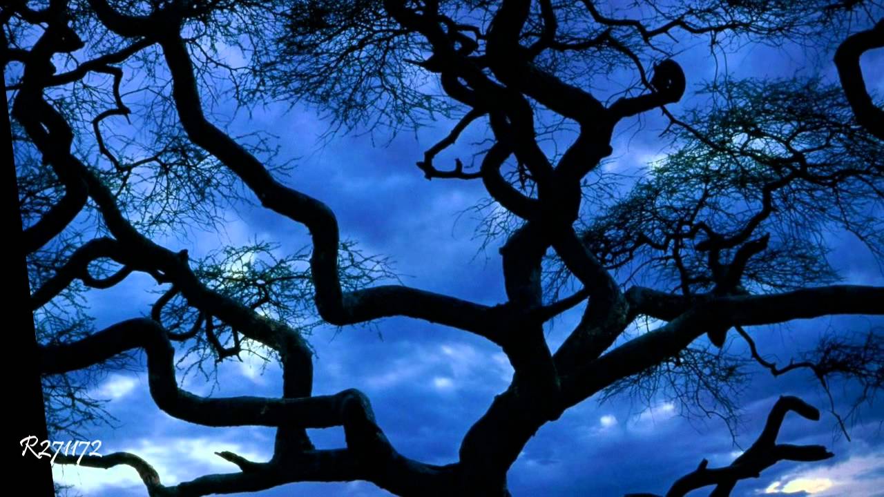 Giovanni Marradi - Shadows