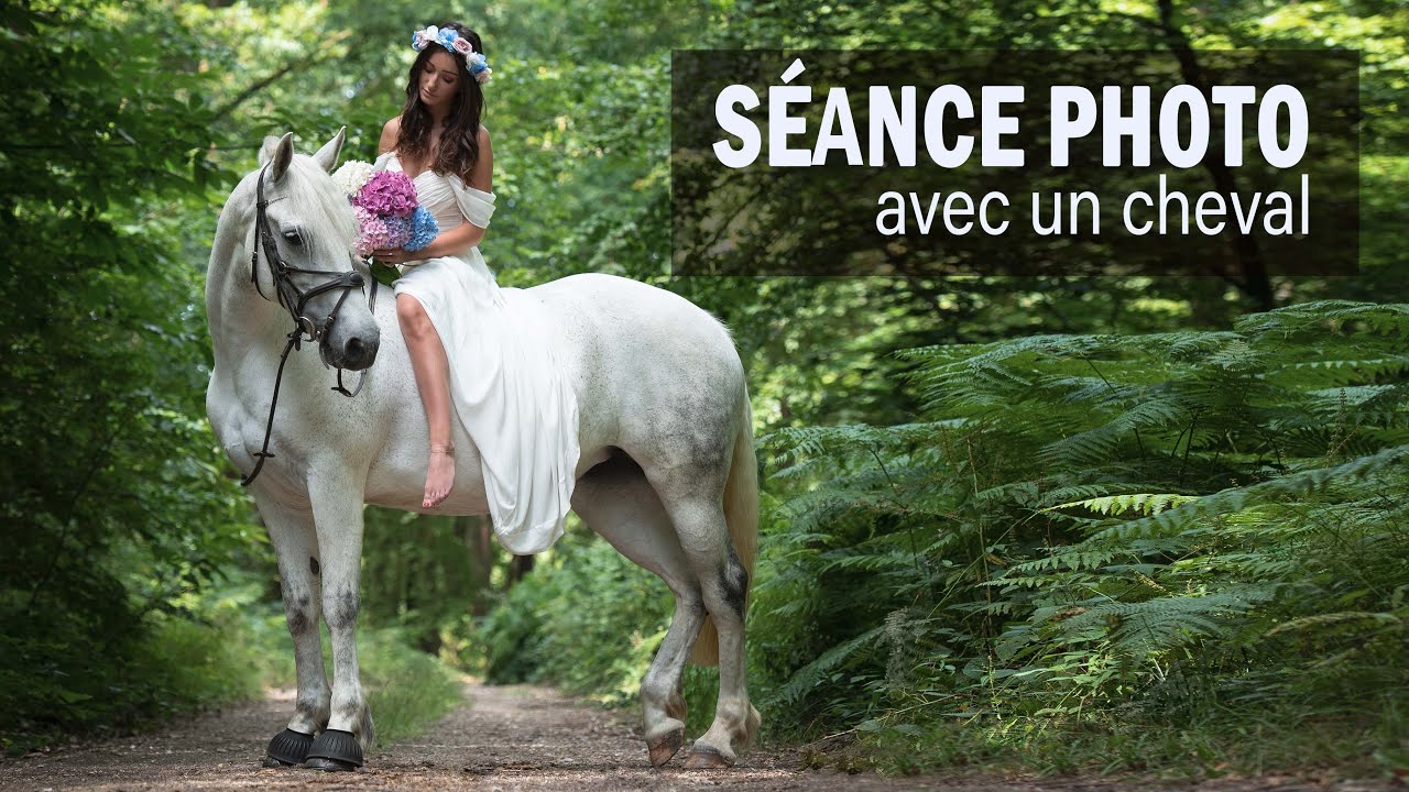 Je réalise un SHOOTING avec un CHEVAL ! Bonne ou mauvaise idée ?