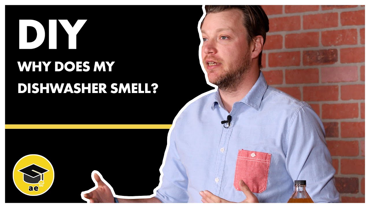 Why Does My Dishwasher Smell? Tips for Removing Dishwasher Odor