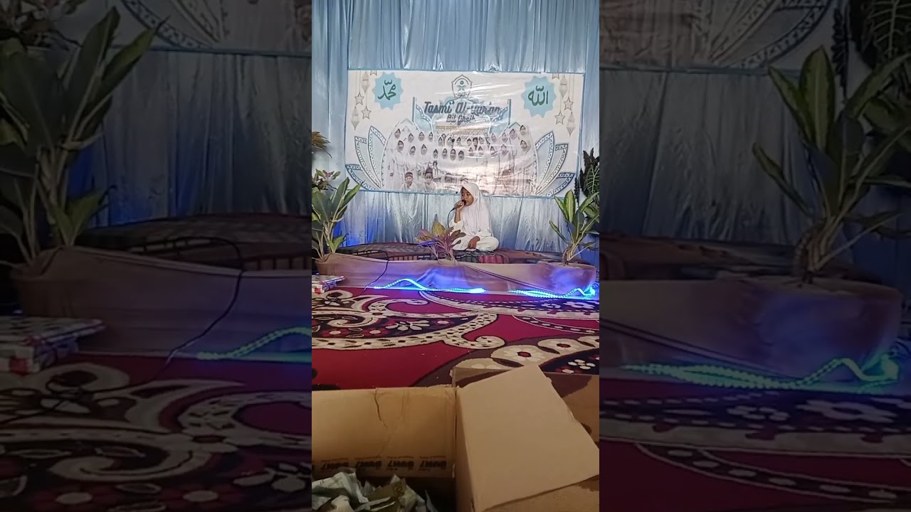 TASMI AL-QUR'AN Kaka Syifa #syifa #walangsanga