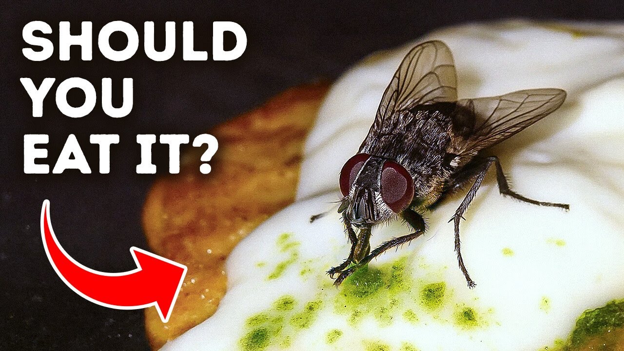 Disturbing Insect Secrets That Will Make You Shiver