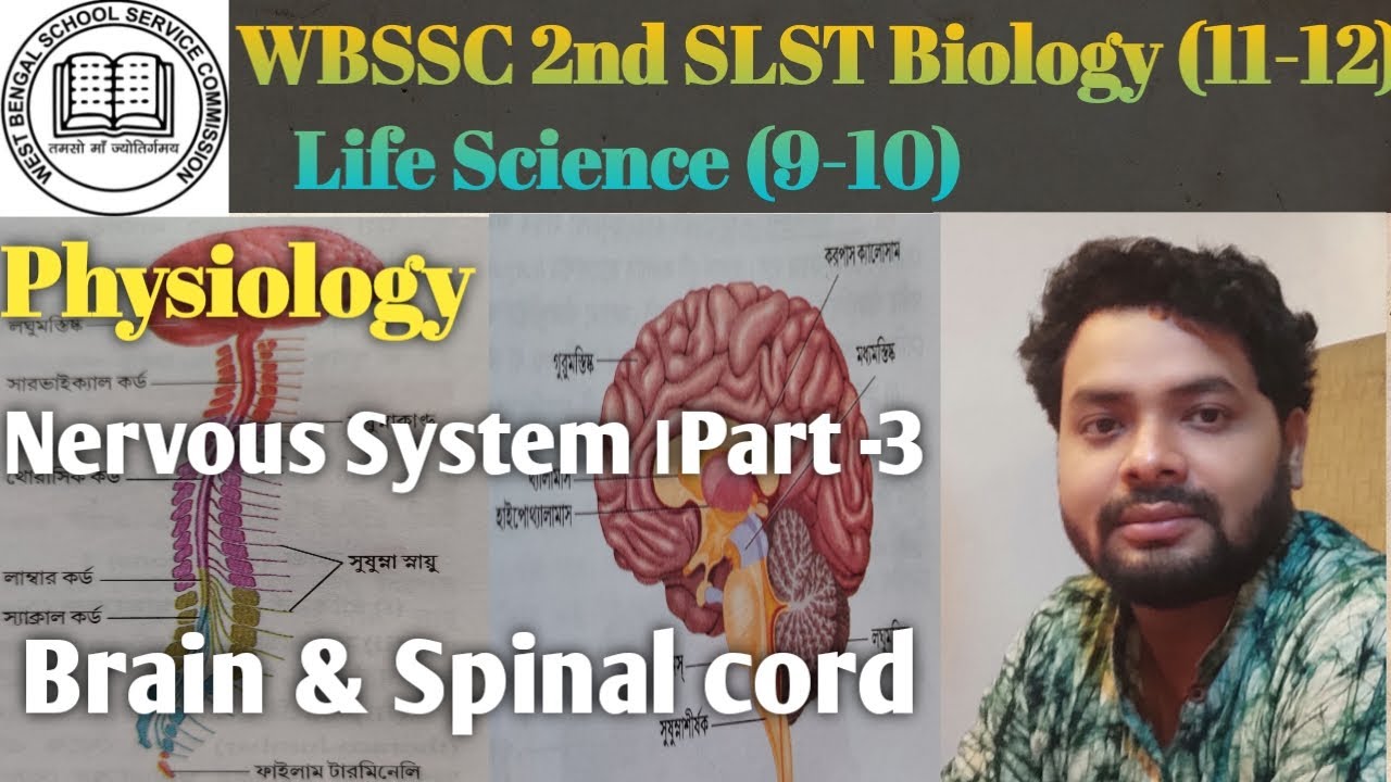 SLST Preparation । Physiology।Nervous System।Brain & Spinal cord #slst #slst_preparation #slstnews