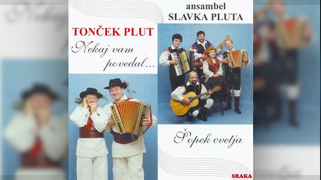 Ansambel Slavka Pluta - Na obisku