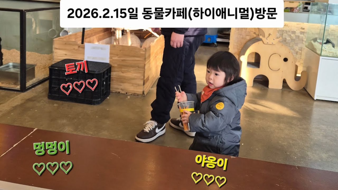 [풀영상] 별,은하 자매의 동물카페 첫방문