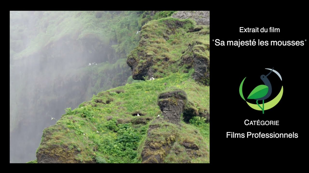 Bande-annonce 2 - Sa Majesté les mousses