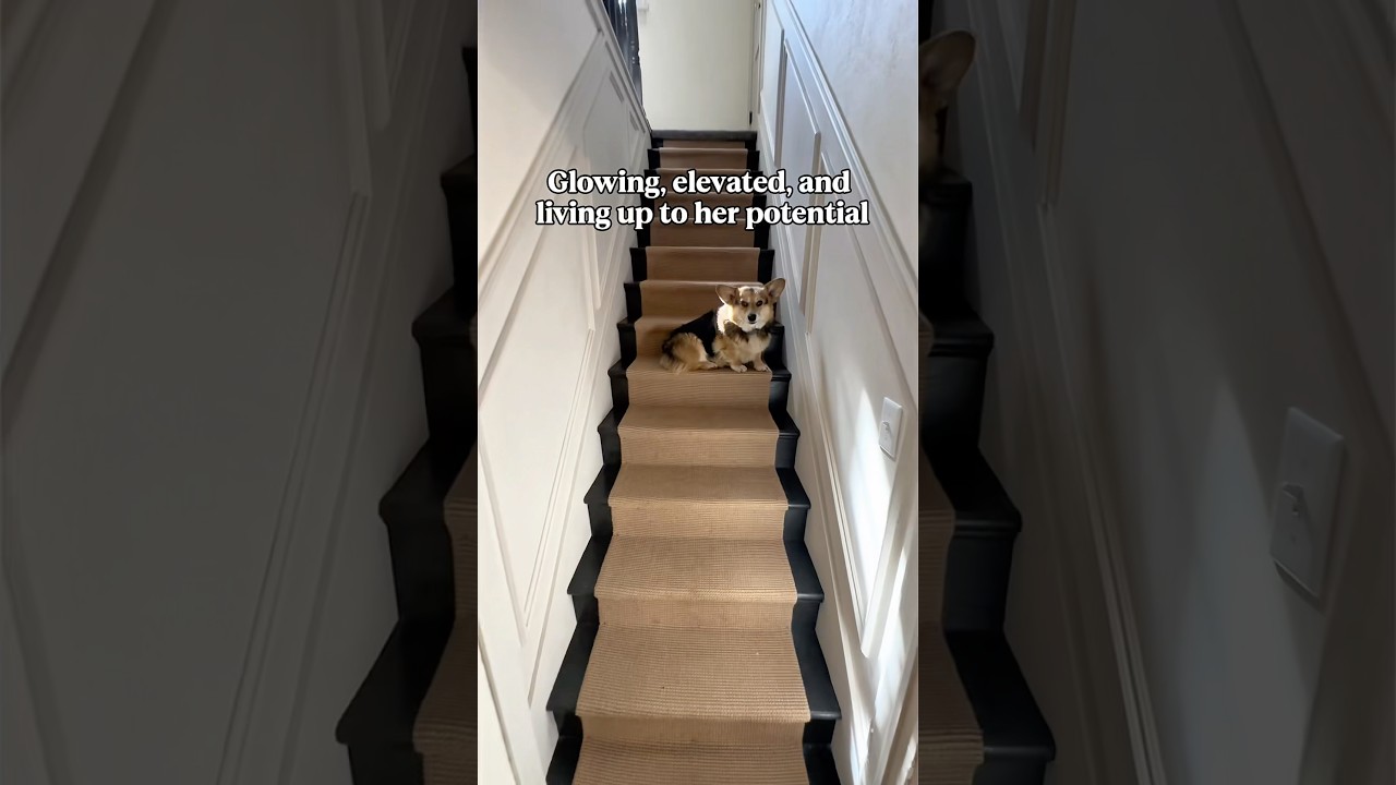 Спасаем лестницу! #сделайсам #лестница #ремонт #обои #cottagecore #englishcottage