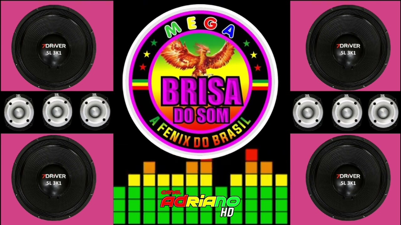CD AO VIVO - 2024 /  EXCLUSIVAS / MEGA BRISA DO SOM - DJ FRANK ROOTS