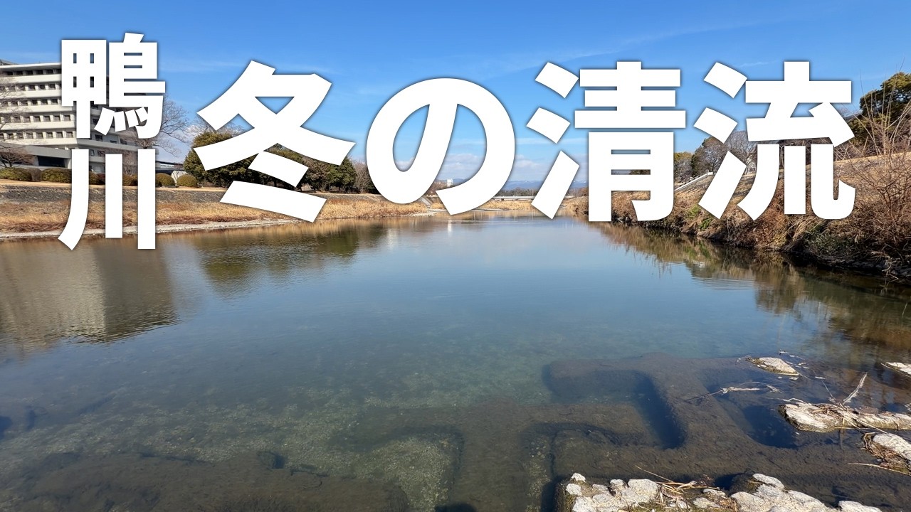 京都 鴨川【冬の清流】弱い陽の光を受けてキラキラと輝く穏やかな光景（2026年2月４日）