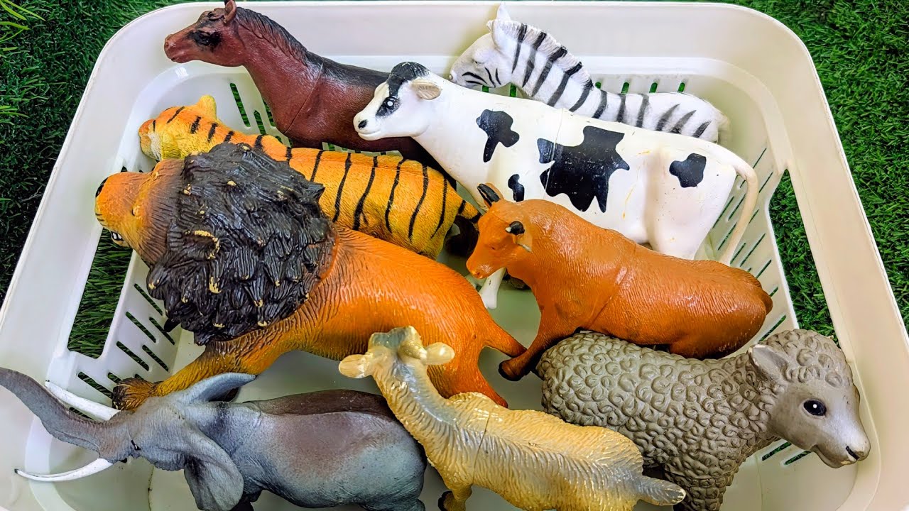 Farm and Wild Jungle Animals for Kids | Best Animal Vocabulary for Kids in English