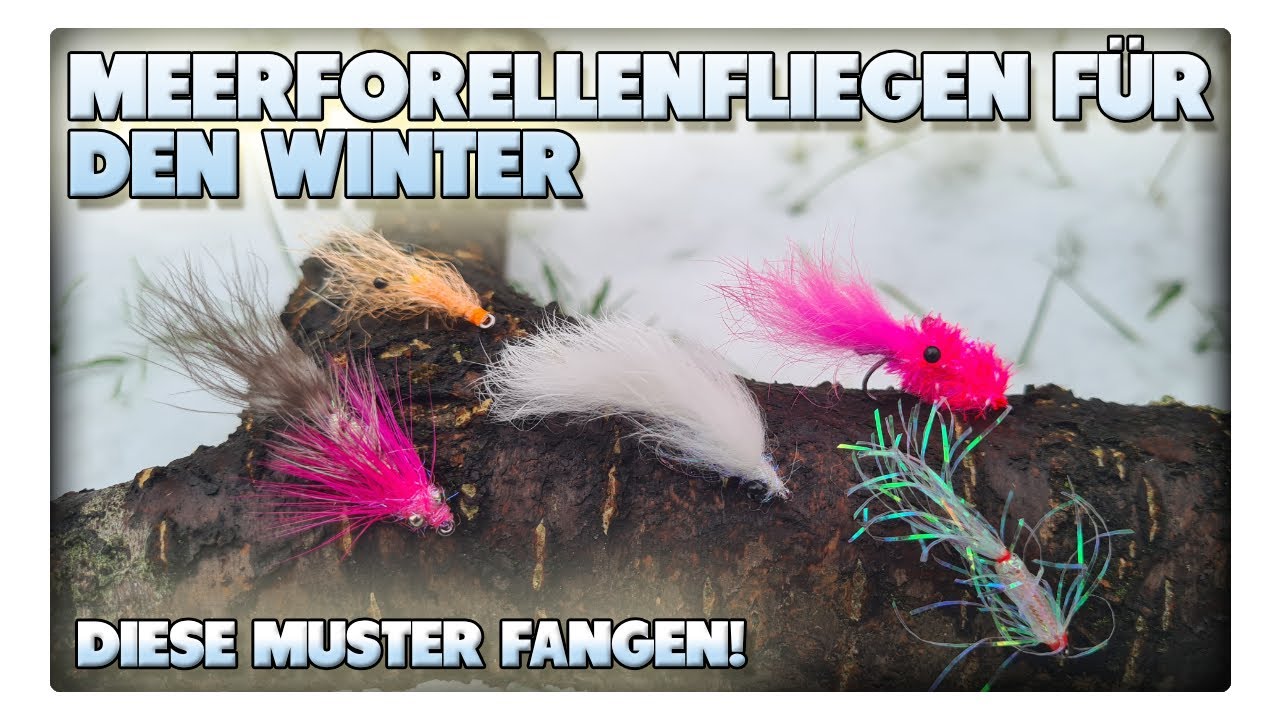 Die besten Fliegen auf Meerforelle im Winter ❄️ Meine Winter-Fliegenbox vorgestellt