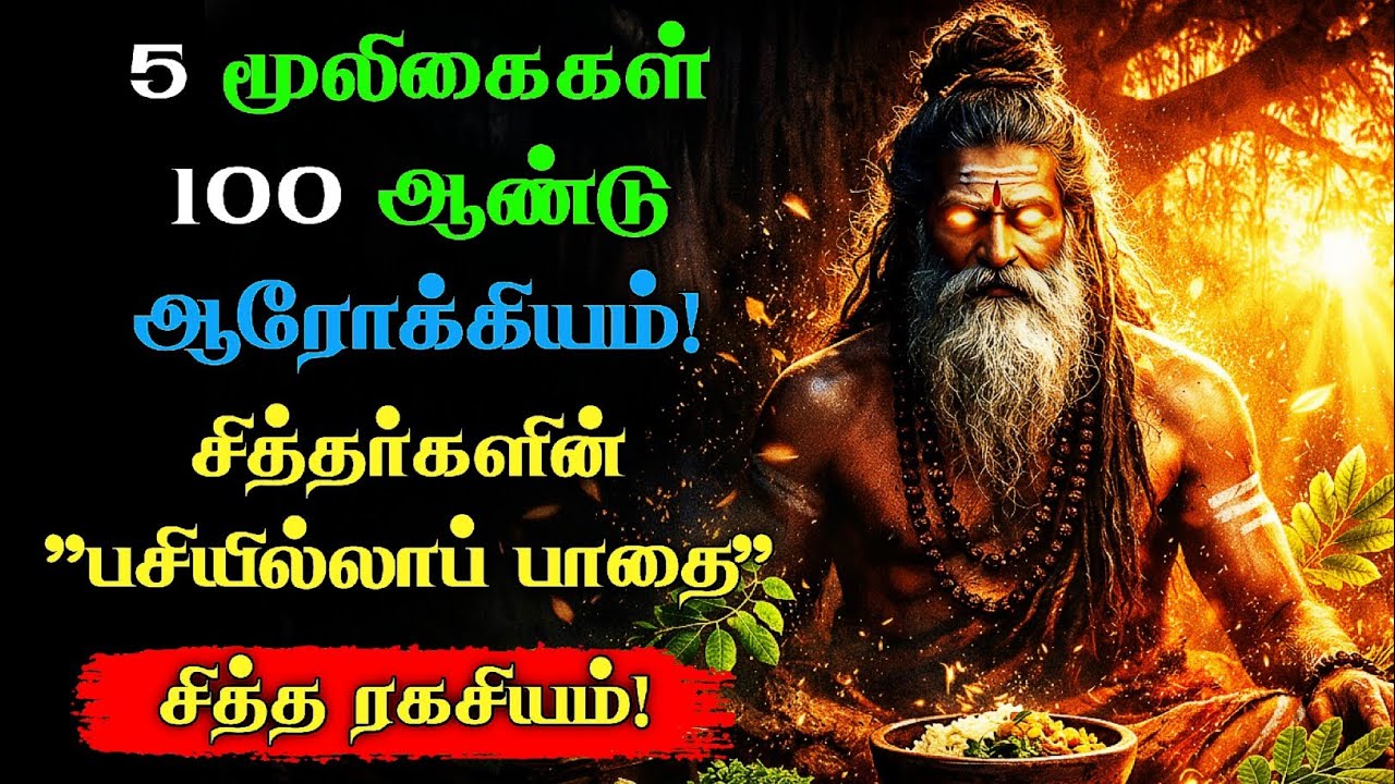 சித்தர்களின் உணவு முறை: 100 ஆண்டுகள் வாழ வைக்கும் ரகசியங்கள்! #sindhithupaar 