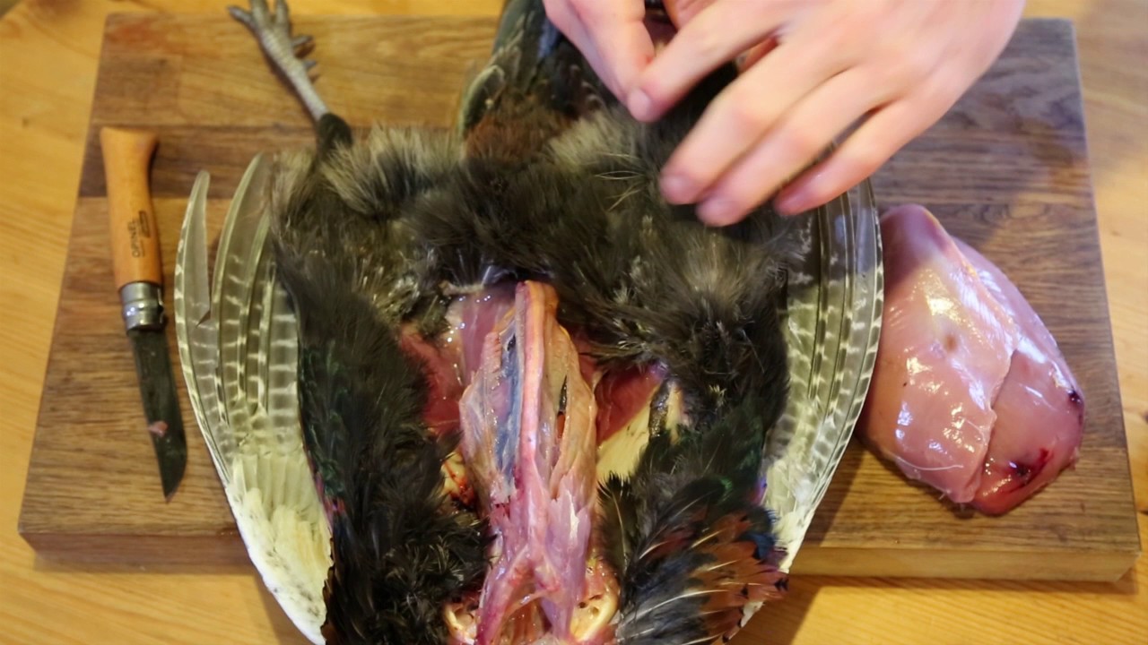 How to joint a pheasant &ndash; with Fieldsports Magazine