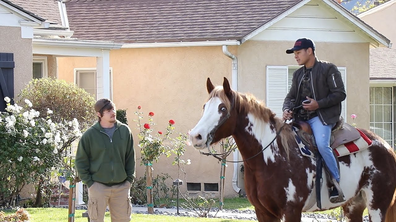 Picking Up UBER Riders with an Actual Horse!