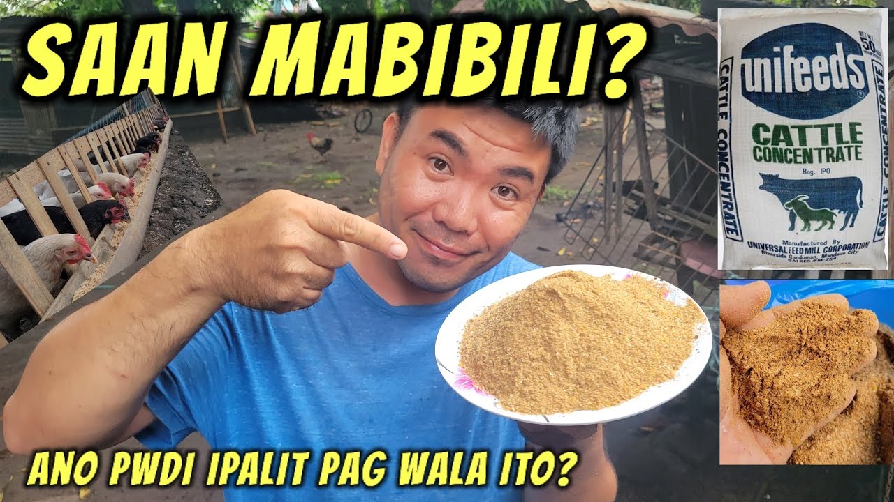 Saan pwedi makabili ng cattle concentrate feeds?