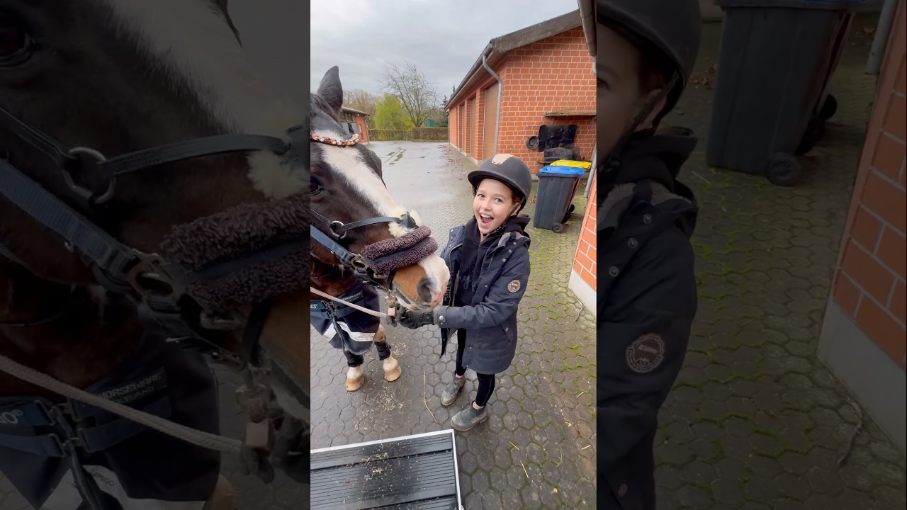 Vlog: Alltag und &Uuml;berraschung f&uuml;r Emilia 🐴🐴🐴🎉🎉 #pferdem&auml;dchen #reiter #fyp#shorts#pferde