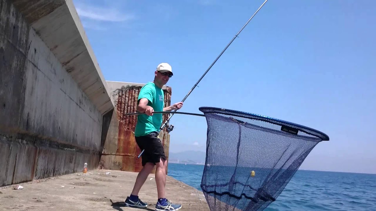 La pesca de la dorada con mejillón