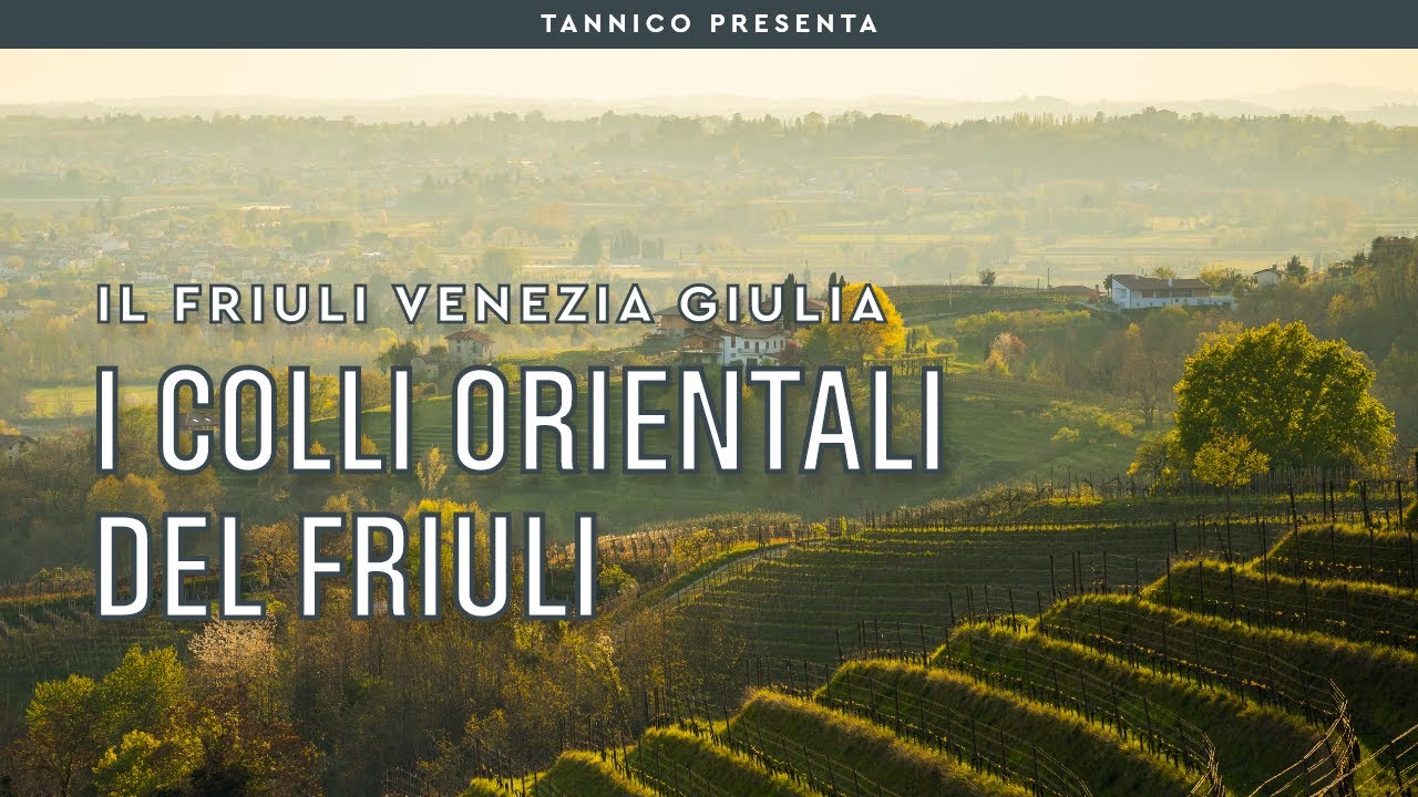 Il vino dei Colli Orientali del Friuli | Tannico Flying School