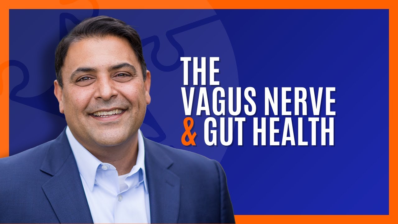 The Vagus Nerve And Gut Health