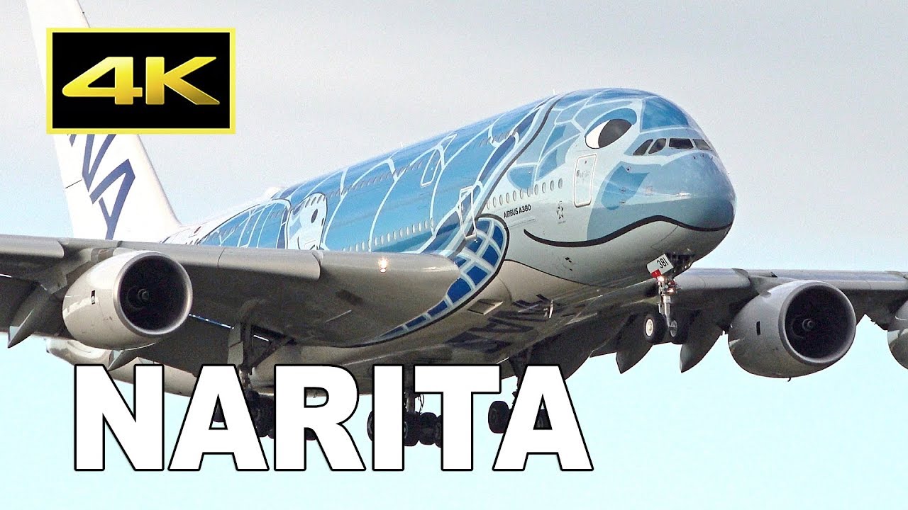 [4K] 75 Jets Plane Spotting Tokyo Narita Airport 16R/34L 2019 / 成田空港 JAL ANA