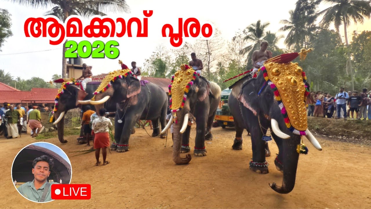Amakkavu pooram 2026 ആമക്കാവ് പൂരം 2026 | Koottanad pooram 2026 #koottanad #amakkavu 