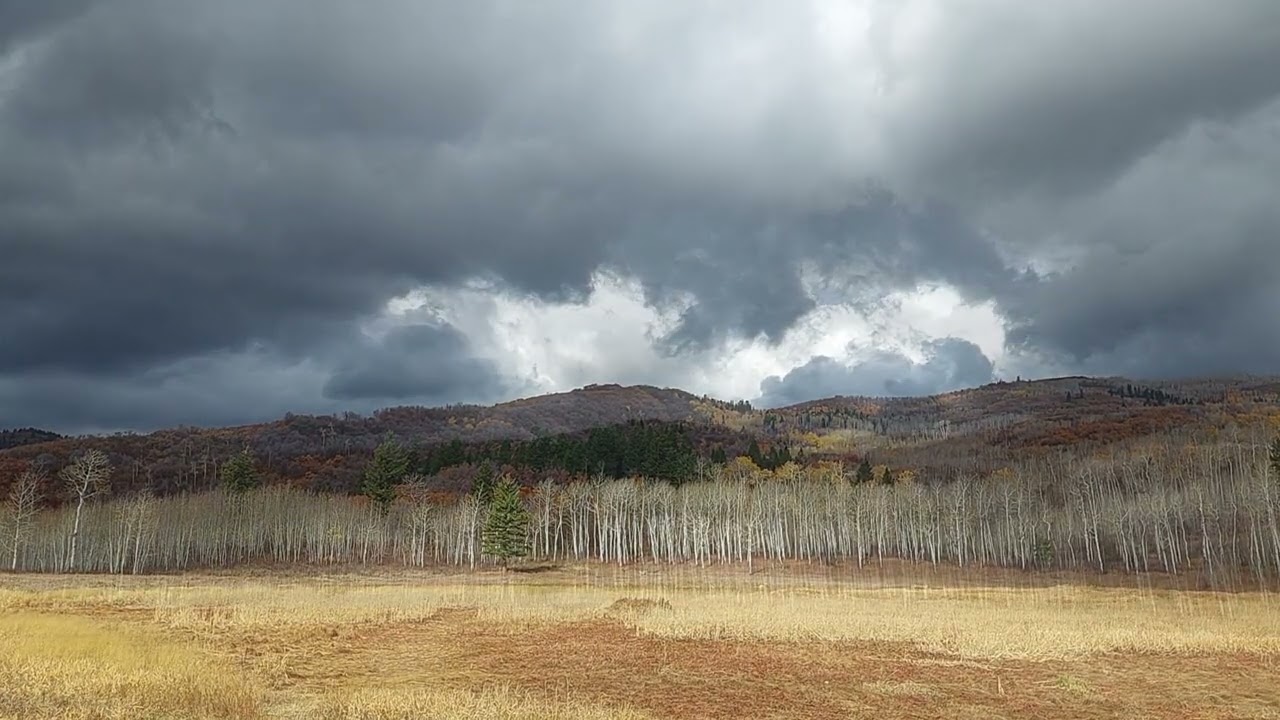 Storm Clouds over the Meadow