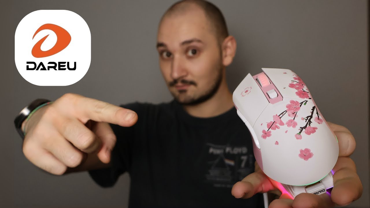 Обзор мыши Dareu EM901X: лучшая игровая мышь до 30 долларов?