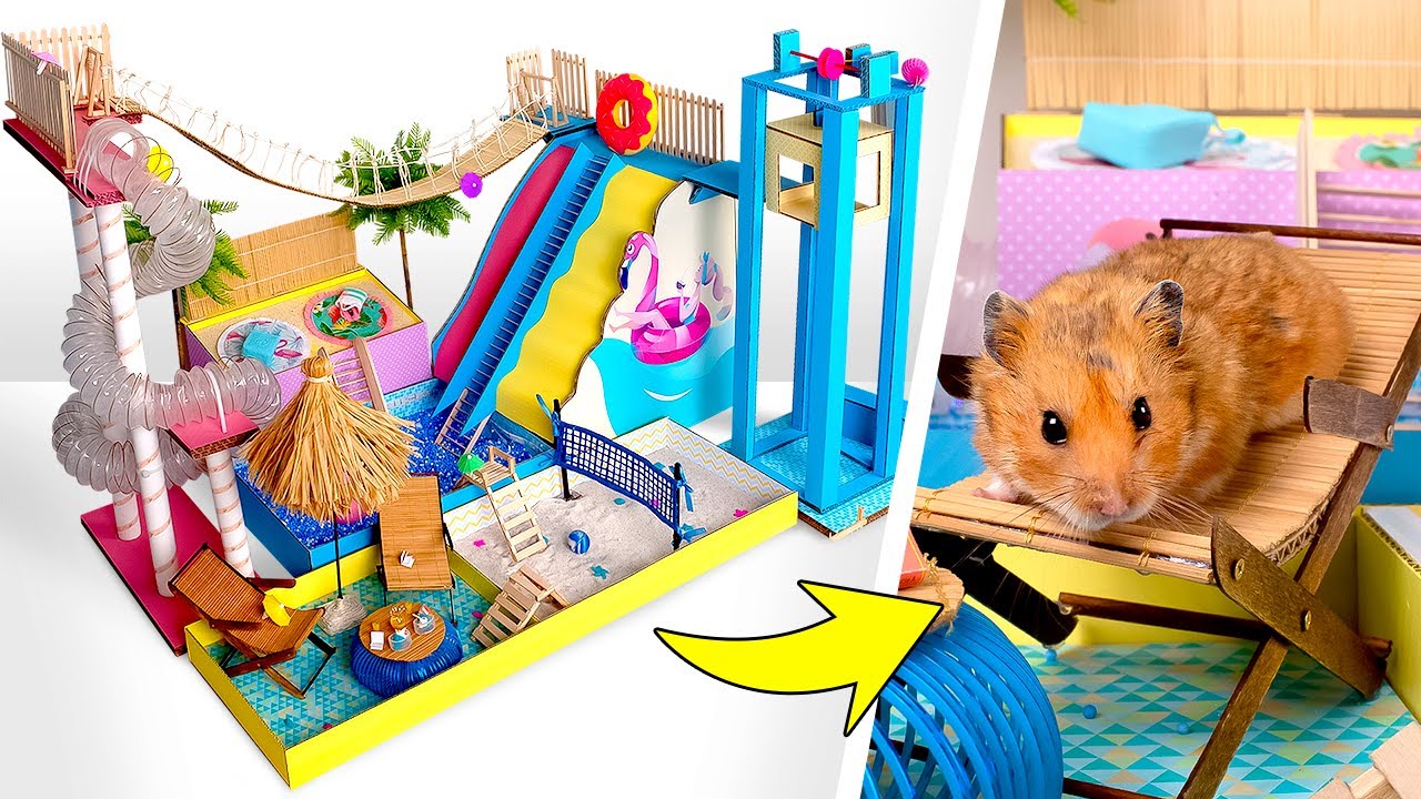 ¡Haz un increíble parque acuático de cartón  para tu hámster!