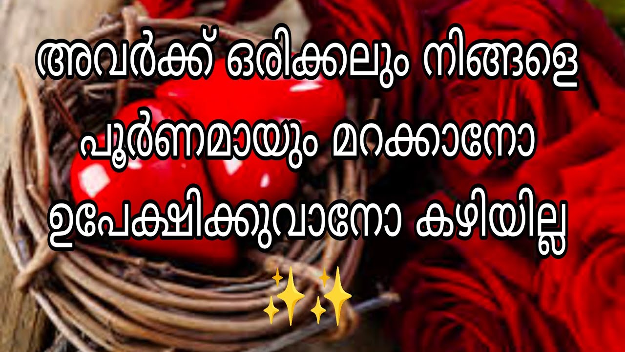 അവർക്ക് ഒരിക്കലും നിങ്ങളെ പൂർണമായും മറക്കാനോ ഉപേക്ഷിക്കുവാനോ കഴിയില്ല! കാരണം ഇതാണ് ✨✨