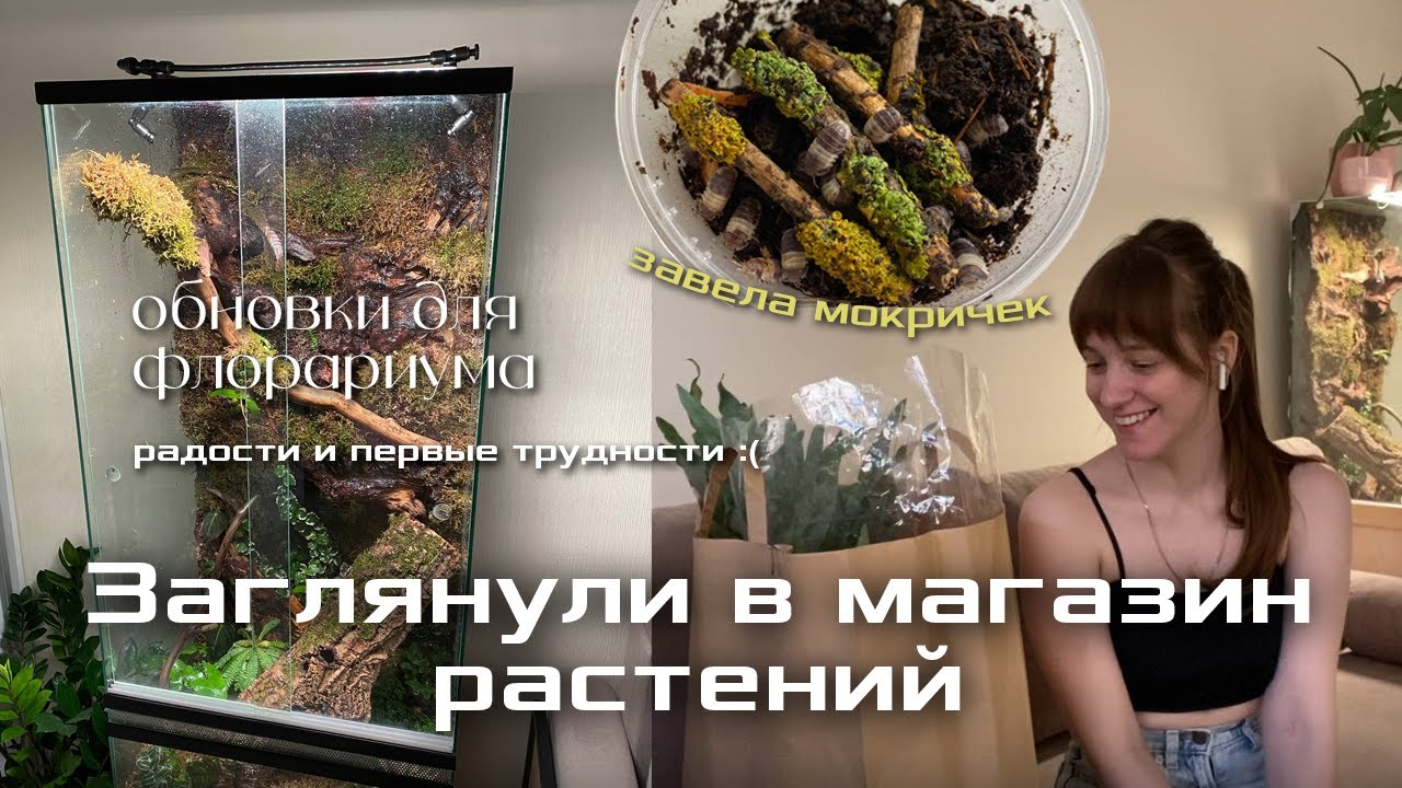 Поездка в магазин растений | Новинки для флорариума | Столкнулась с первыми сложностями