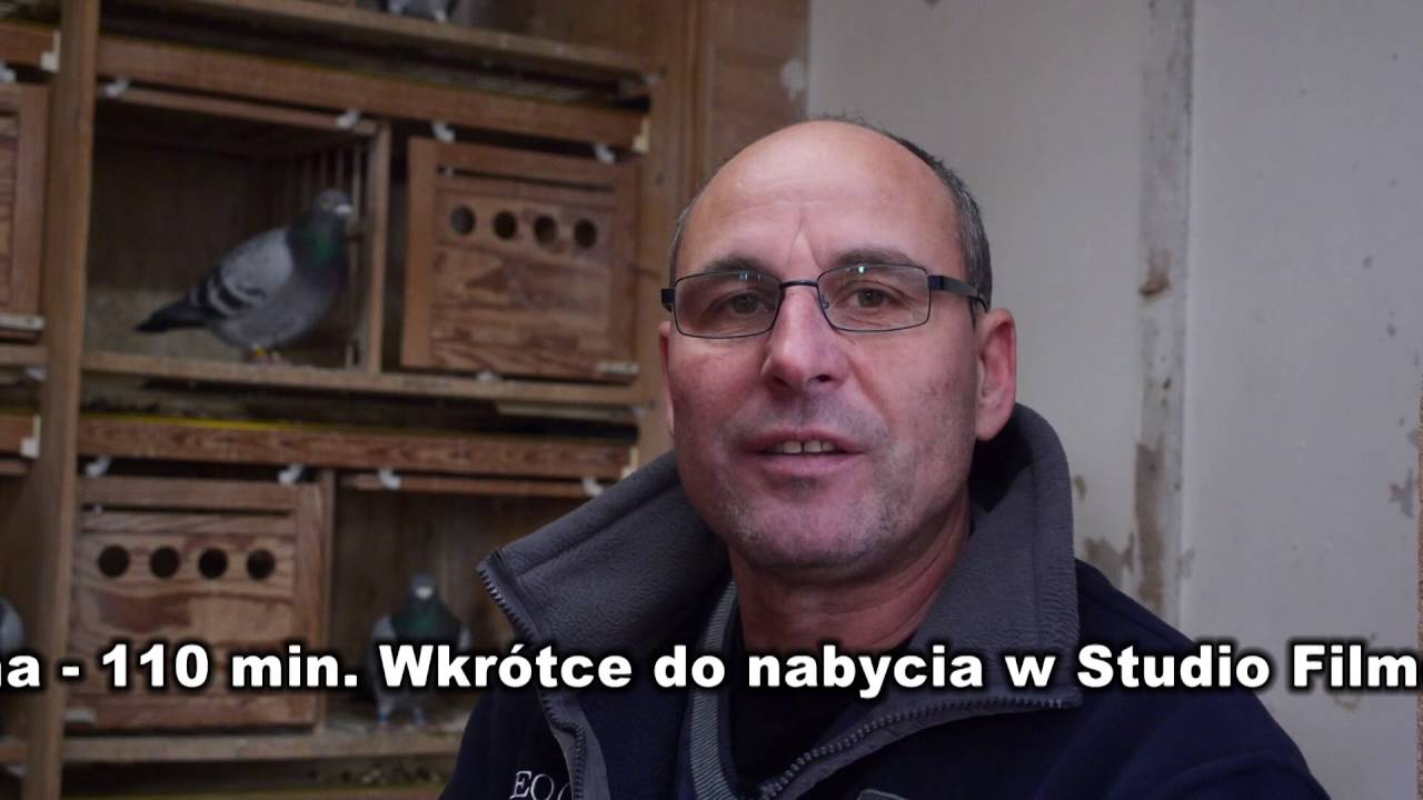NOWOŚĆ TORNADO Film Nr 60 TINO BERGEMANN - NIEMCY