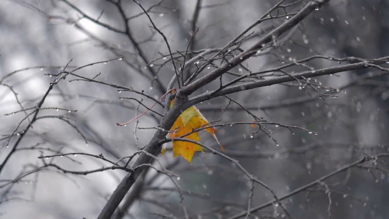 REGGELI CSENDESSÉG - 2026.02.23