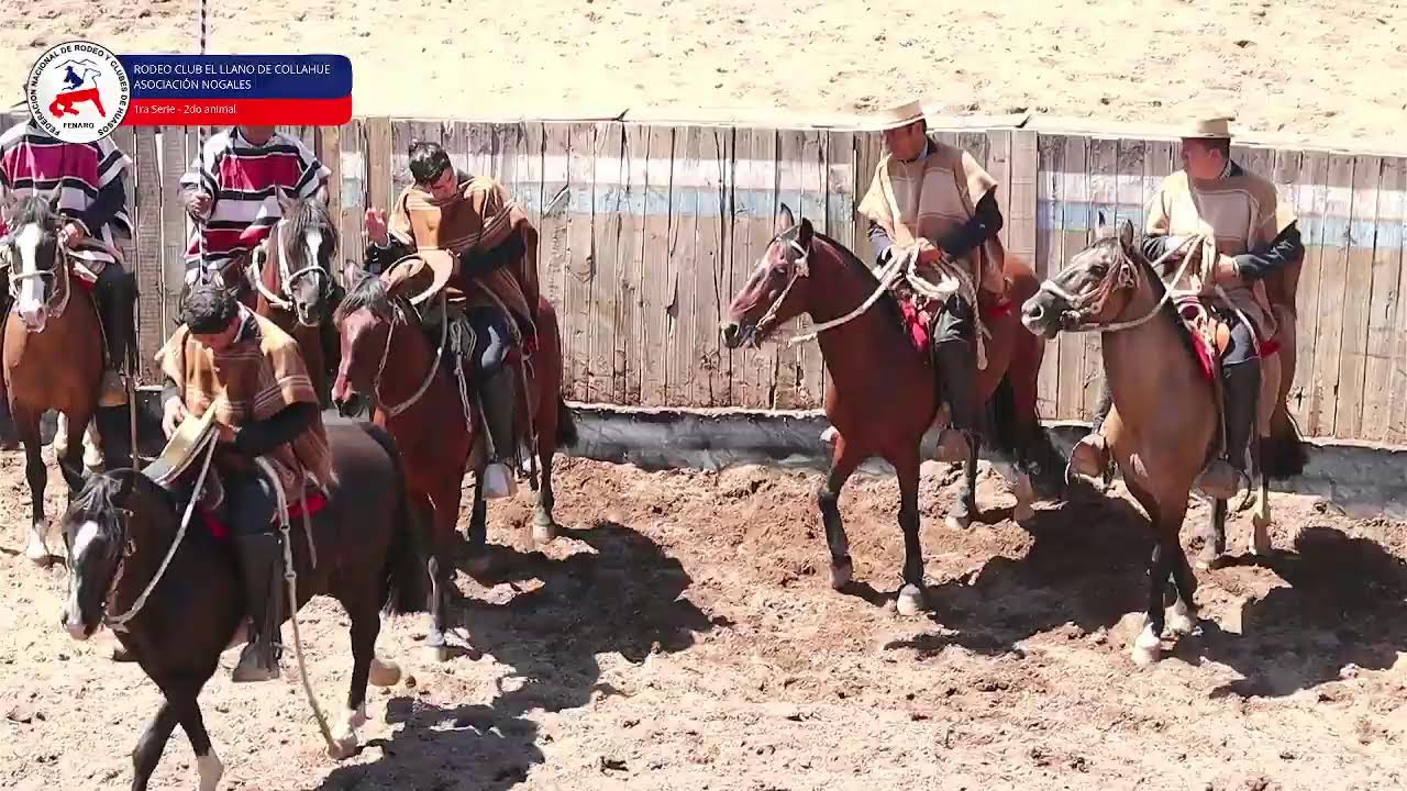 Rodeo Club El Llano de Collahue. Asc. Nogales - Primera Serie