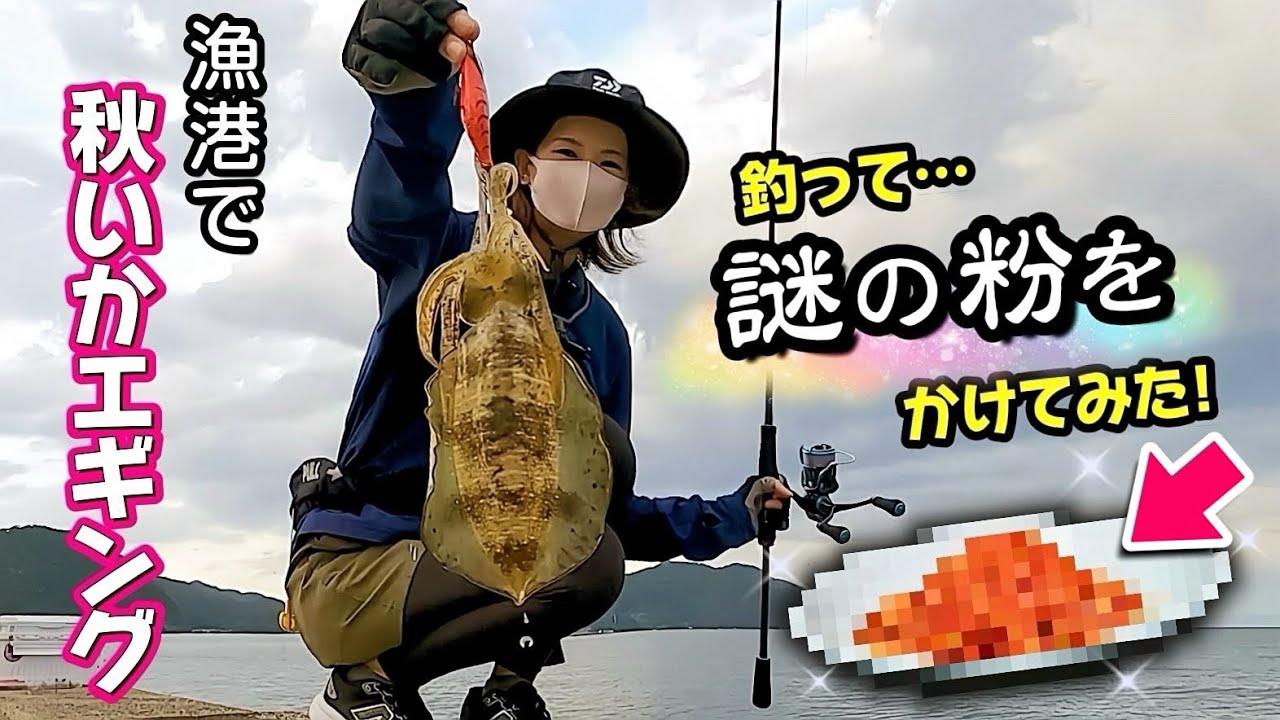 【エギング】アオリイカを釣って、美味しいと噂の粉をかけてみた♪