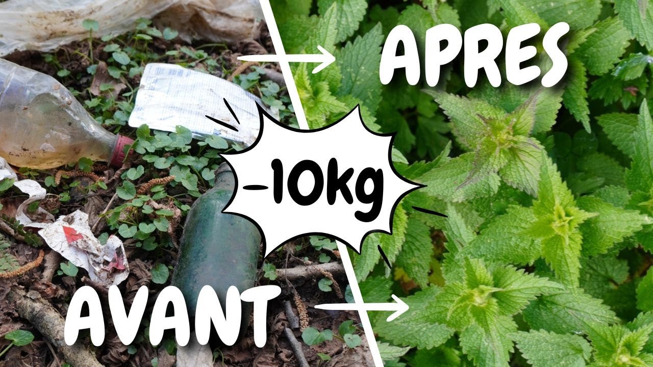 Grosse sortie DEPOLLUTION dans les bois ! (pleins d'infos sur l'impact des d&eacute;chets dans la nature)